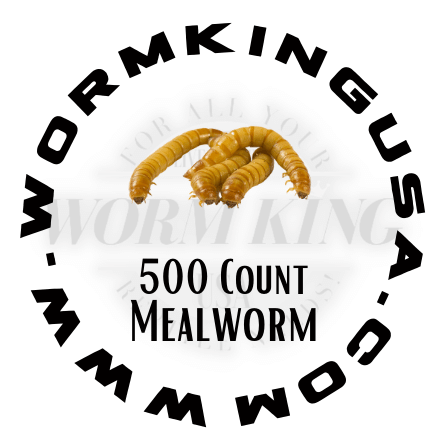 Giant Mealworms